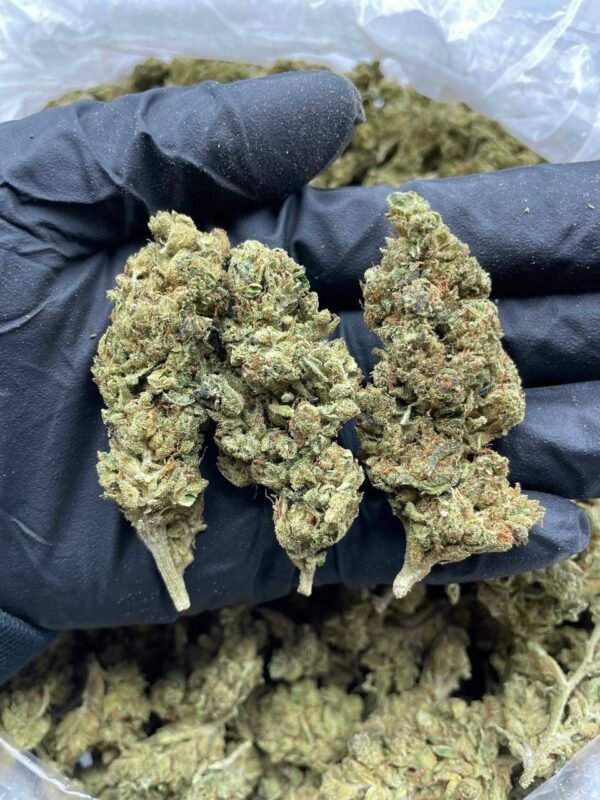 Afghan Kush Cannabis Strain - Pure Indica Origin with Earthy and Hashish Flavors for Deep Relaxation