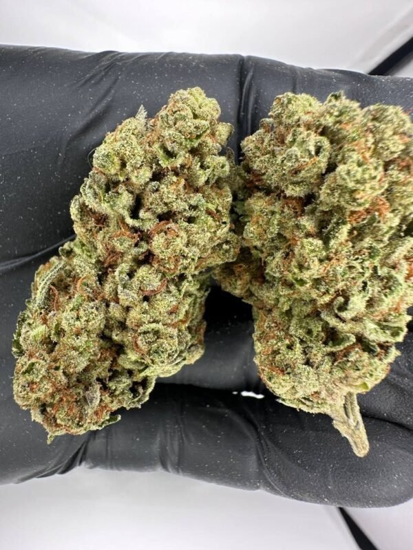 Black Cherry Soda Cannabis Strain - Indulge in the Sweetness of this Hybrid with Fruity Undertones