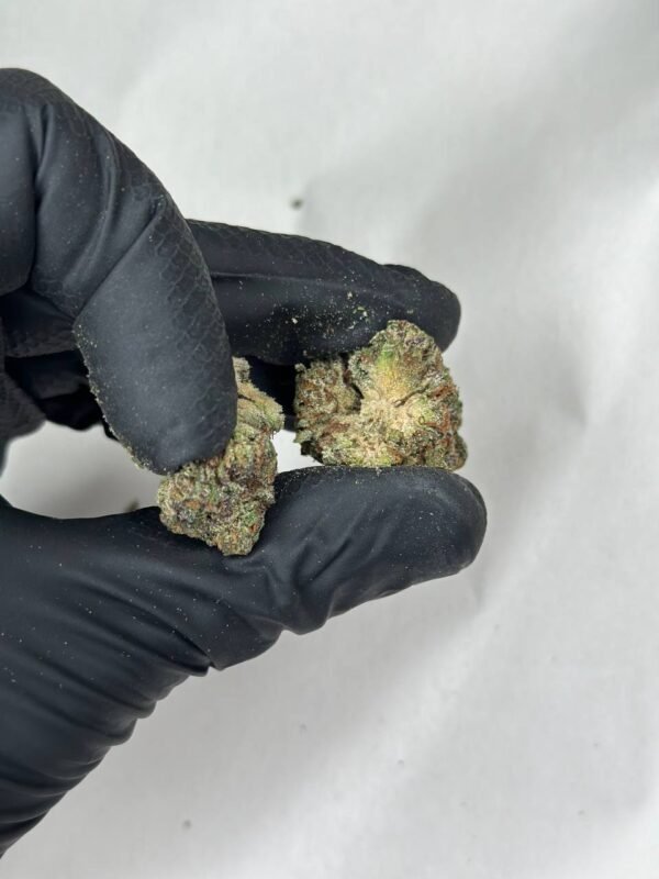 Black Mamba Cannabis Strain - Potent Indica with Rich Dark Buds