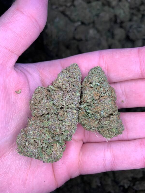 Blue God Cannabis Strain - A Potent Indica Hybrid with Sweet Blueberry Flavors and Relaxing Effects