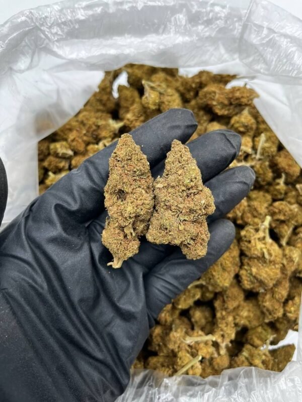 Blueberry Cannabis Strain - Classic Indica with Sweet Berry Flavors for Relaxation