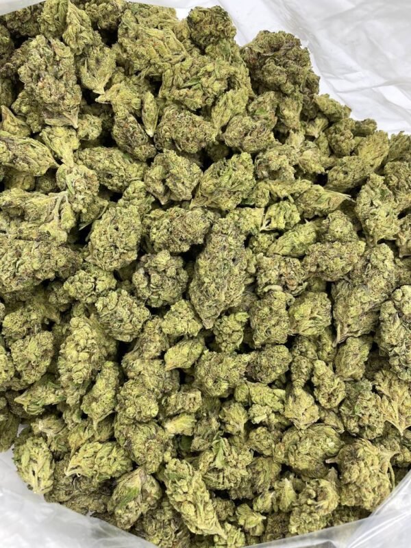 Blueberry Cookies Cannabis Strain - Sweet Hybrid Delight with Cookie-Like Aroma