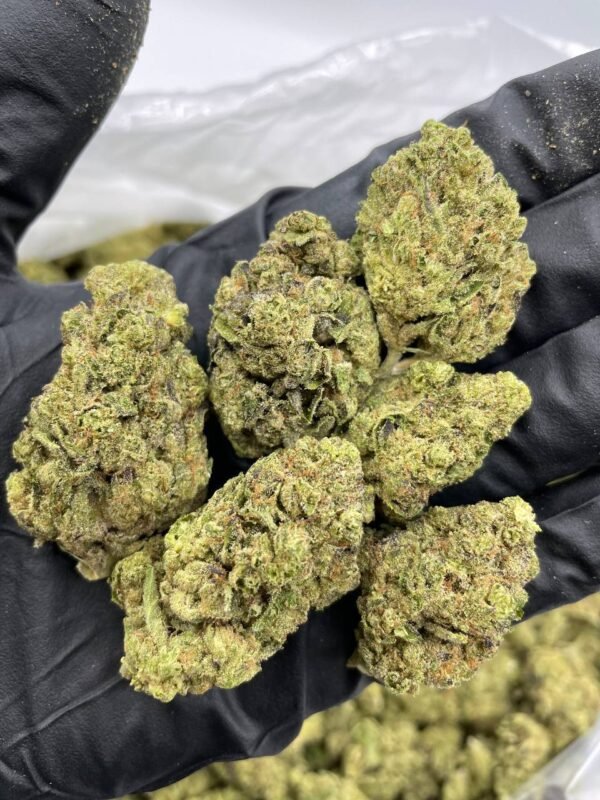 Blueberry Cookies Cannabis Strain - Sweet Hybrid Delight with Cookie-Like Aroma
