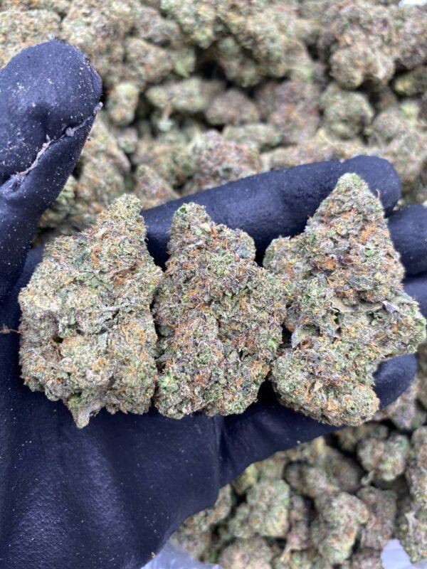 Blueberry Diesel Cannabis Strain - Energizing Hybrid with Sweet Blueberry Undertone