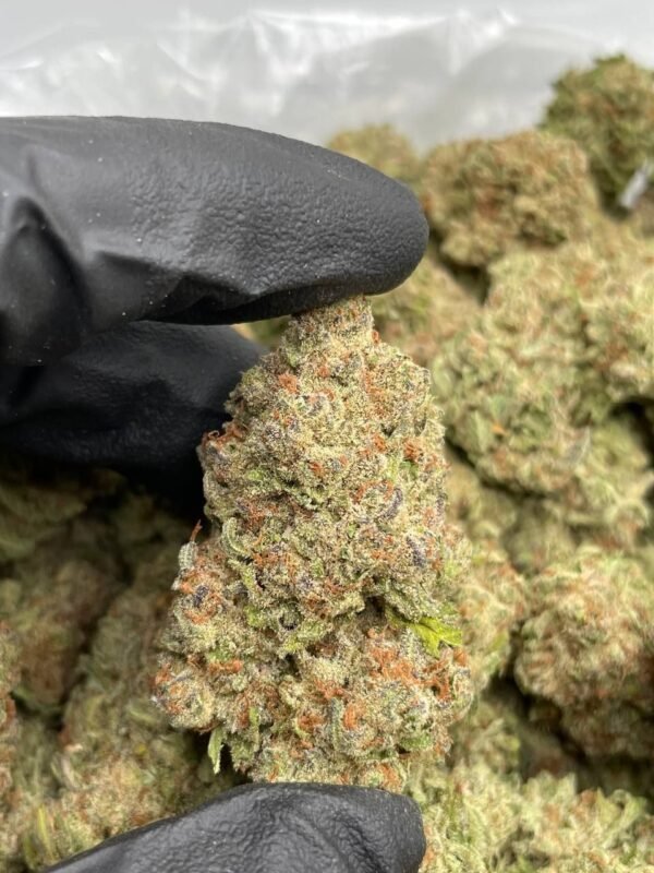 Blueberry Muffin Cannabis Strain - Indulge in the Sweet Aroma of this Relaxing Hybrid