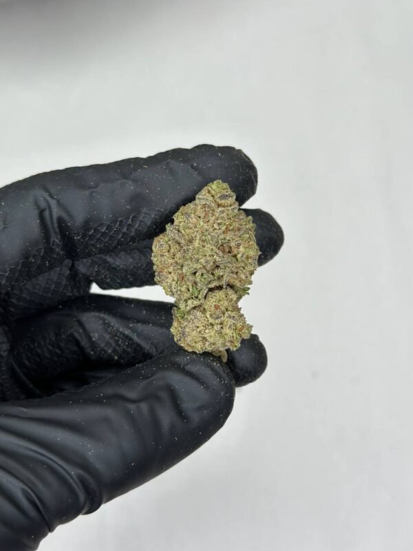 Candyland Cannabis Strain - A Sweet Sativa Blend for Uplifting Bliss and Relaxation