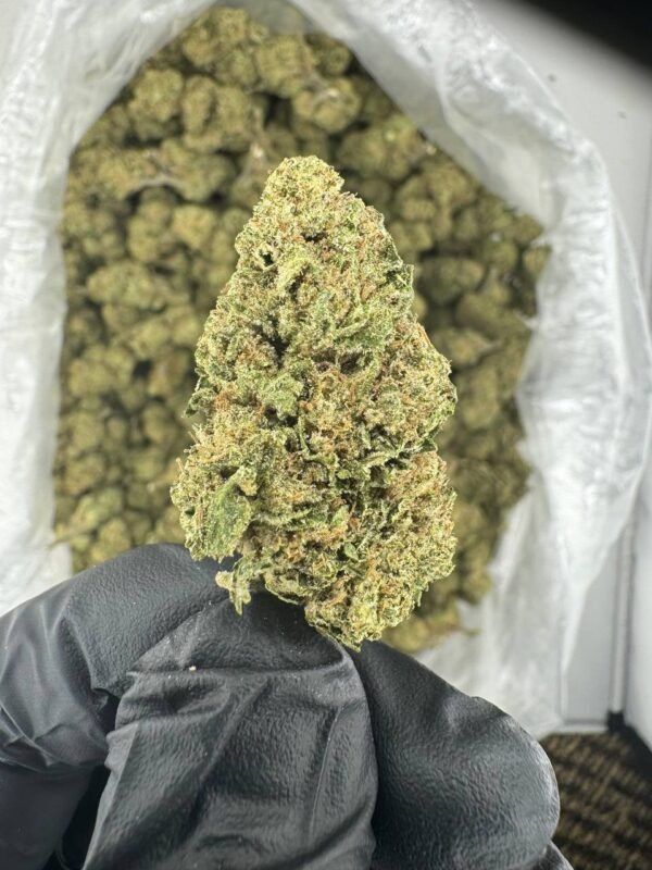 Cannatonic Cannabis Strain - High CBD Content for Calm and Relaxation with Mild Euphoria