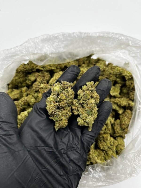 Cookies and Cream Cannabis Strain - Indulge in the Sweet Delight of this Hybrid Blend with Creamy Undertones