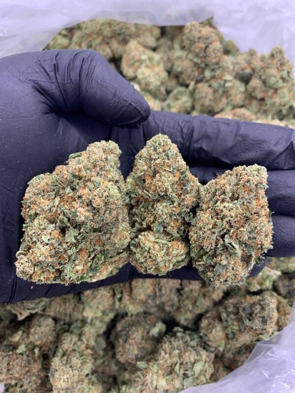 Diablo OG Cannabis Strain - A Potent Indica Hybrid with Earthy Undertones for Deep Relaxation
