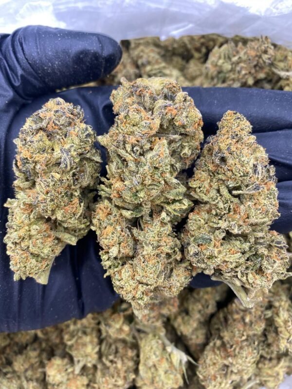 Do-Si-Dos Cannabis Strain - A Potent Indica Hybrid with Sweet Earthy Flavors for Deep Relaxation