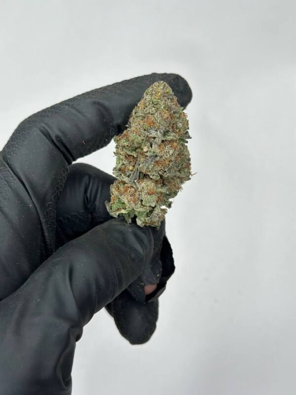 Dutch Treat Cannabis Strain - A Classic Indica-Dominant Hybrid with Sweet Pine and Earthy Undertones