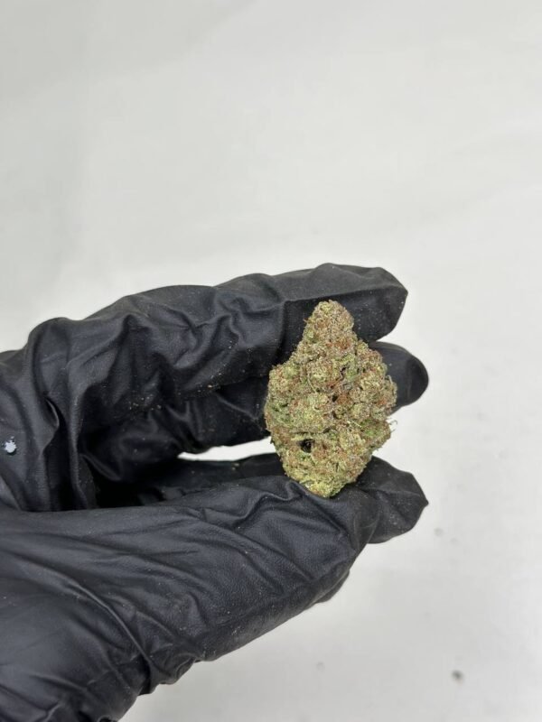 Gelato - Image 2