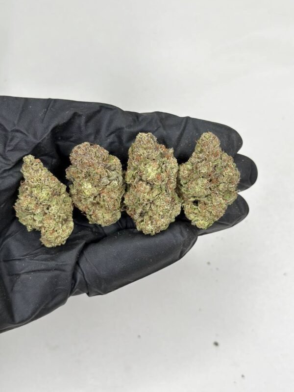 Gelato Cannabis Strain - Indulge in the Sweet and Creamy Delights of this Balanced Hybrid