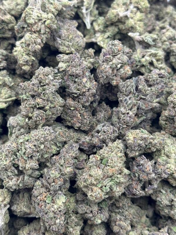 Jillybean Cannabis Strain - Sweet and Uplifting Sativa Hybrid with Tantalizing Orange and Mango Flavors