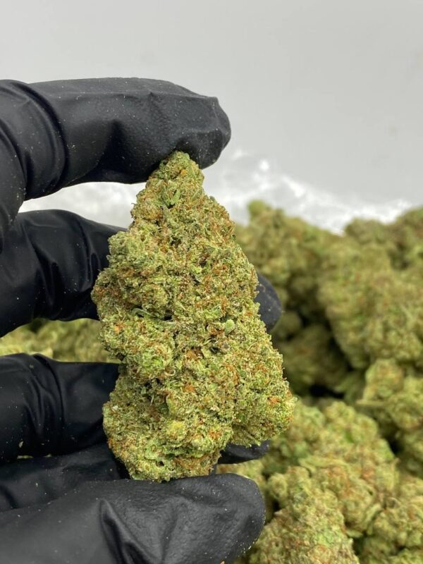 Northern Berry Cannabis Strain - A Fruity Indica Hybrid with Northern Heritage and Berry Flavors