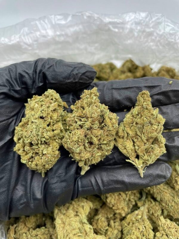 Sour Banana Sherbet Cannabis Strain - A Tangy Hybrid Delight with Banana Sweetness and Citrus Zest