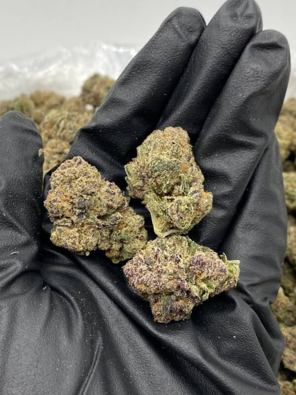 Sour Kush Cannabis Strain - A Pungent Hybrid Blend with Sour Citrus Aromas and Kush Undertones