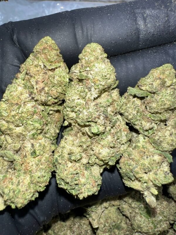 Space Queen Cannabis Strain - A Galactic Sativa-Dominant Hybrid with Fruity Flavors and Uplifting Effects