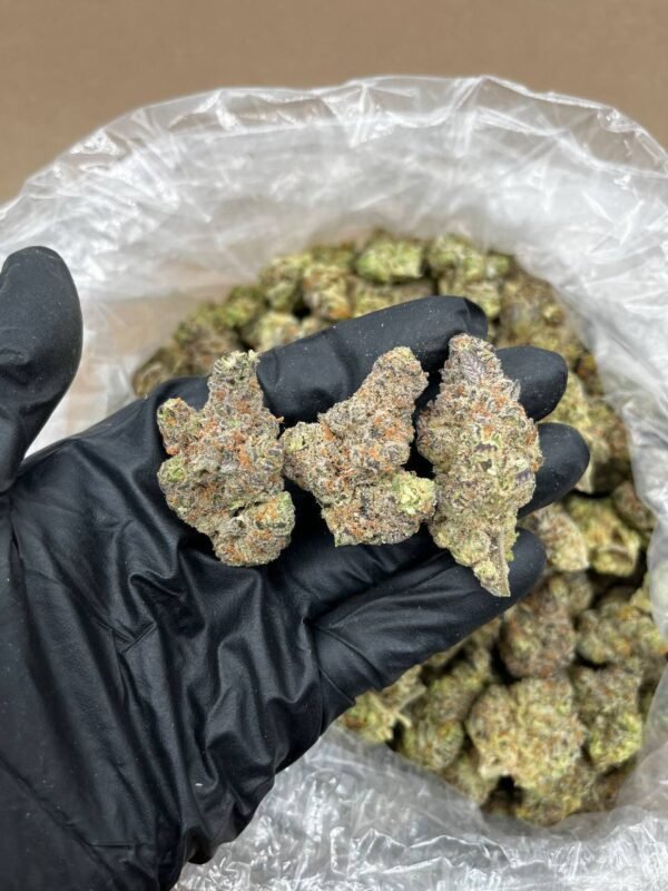 Tangerine Power Cannabis Strain - A Citrus-Infused Sativa Hybrid with Energizing Effects