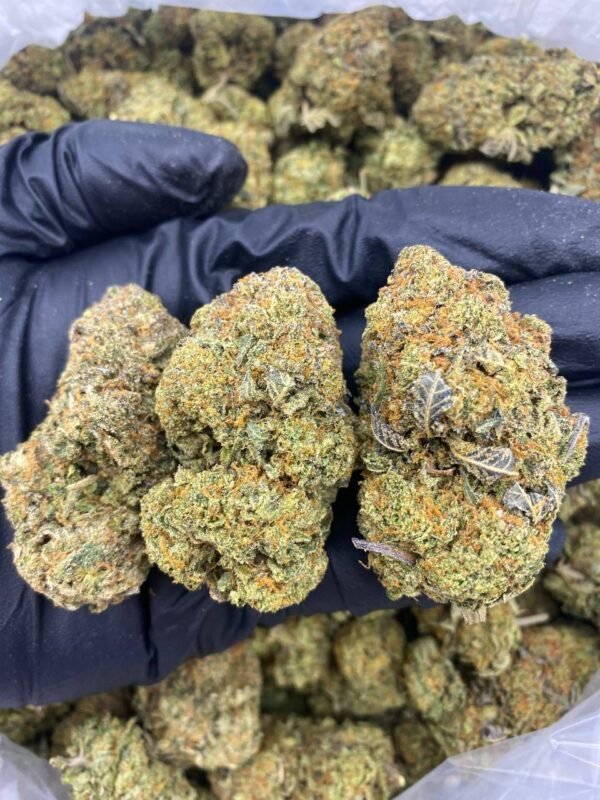 Wedding Cake Cannabis Strain - Indulge in the Sweet and Earthy Delights of this Hybrid Euphoria