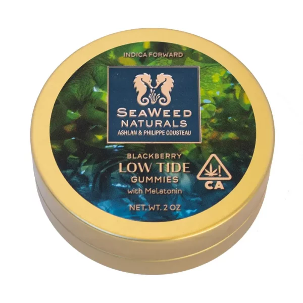 Low Tide Gummies 10pk 100mg